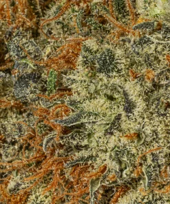 Blackberry Moonrocks (AAA)