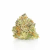 Blackberry x Blueberry (AA+)