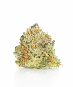 Blackberry x Blueberry (AA+)