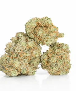 Blackberry x Blueberry (AA+)