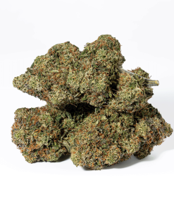 Chemical Weapon (AAA+)