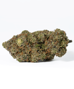 Chemical Weapon (AAA+)