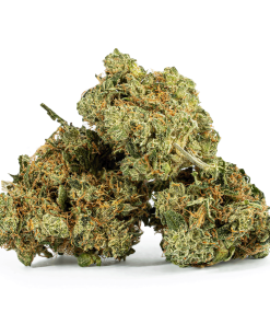 Cali Bubba (AA)