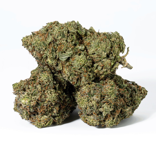 Champagne Pink (AAAA)