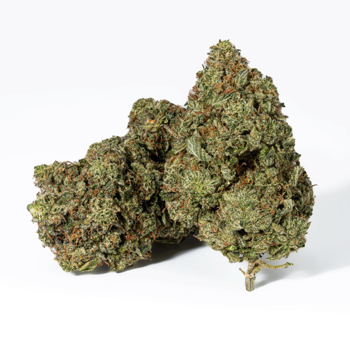 Champagne Pink (AAAA)