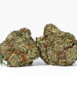 Cherry Dosi (AAA+)