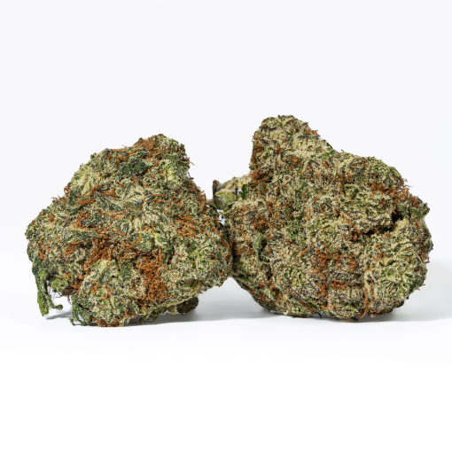 Cherry Dosi (AAA+)