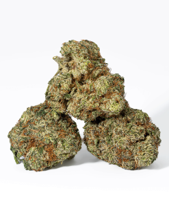 Cherry Dosi (AAA+)