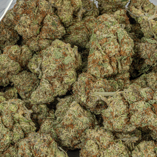 Cherry Dosi (AAA+)