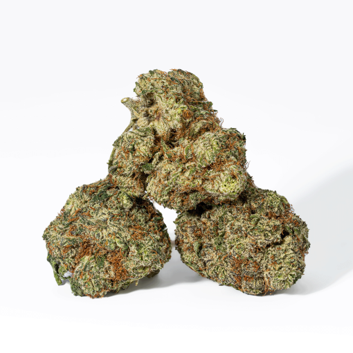 Cherry Dosi (AAA+)