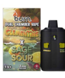 Burn Dual Chamber - THC Disposable Vapes (6G) (3+3 Gram)