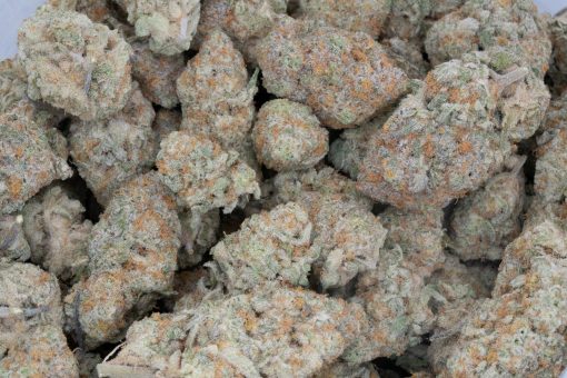 Grey Goose (AAAA+)