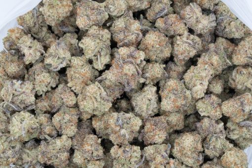 Slurricane (AAAA+/Popcorn)