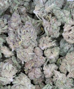 Sensi Star (AA)