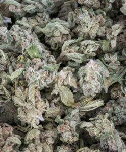 Banana Bread (AA/AA+)