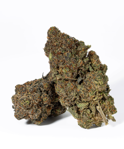 Grunk Panda (AAAA)