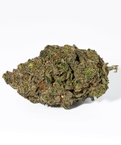 Grunk Panda (AAAA)