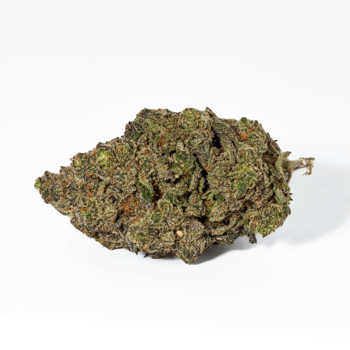 Grunk Panda (AAAA)
