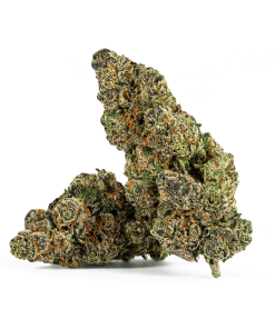 Humboldt Frost (AAAA)
