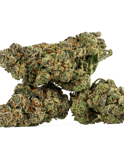 Humboldt Frost (AAAA)
