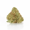 Gelato (AAA+)