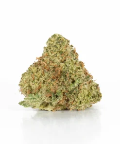 Gelato (AAA+)