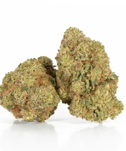 Gelato (AAA+)