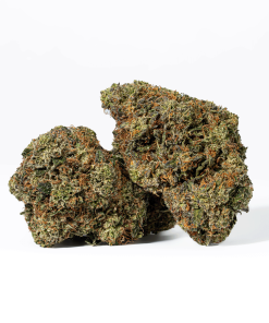Gorilla Pink (AAA+)