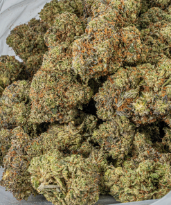 Gorilla Pink (AAA+)