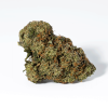 Gorilla Pink (AAA+)