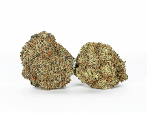 Happy Hour (AA+)