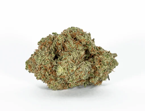 Happy Hour (AA+)