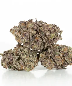 Hawaiian Honey Purple (Craft)