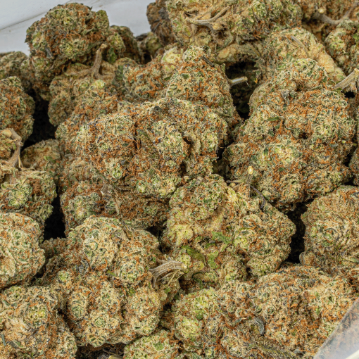 Mandarin Zkittlez (AAA+)
