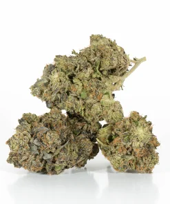 Master Bubba (AAA+)