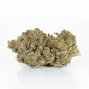 Master Bubba (AAA+)