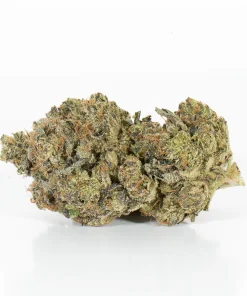 Master Bubba (AAA+)