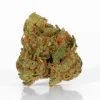 Maui Mango Diesel (AA)