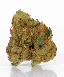 Maui Mango Diesel (AA)