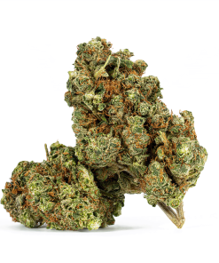 OJ Kush (AA+)