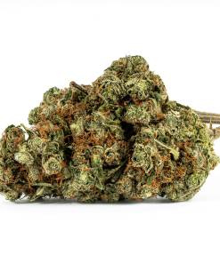 OJ Kush (AA+)