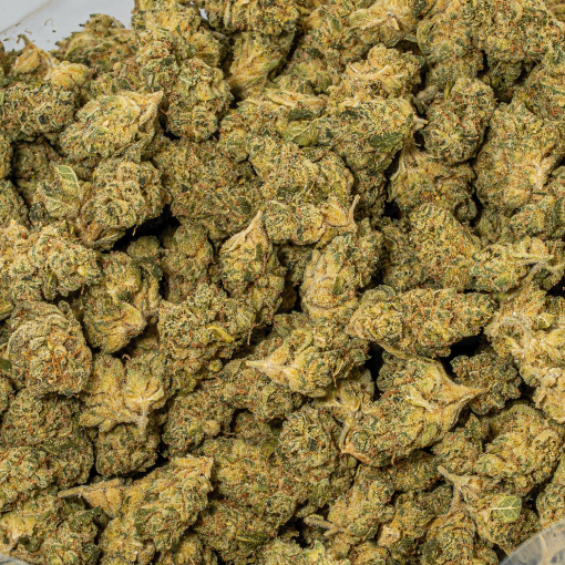 Obama Kush (AA)