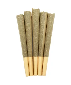 Premium 1g House Joints (Craft) - 5 Pack