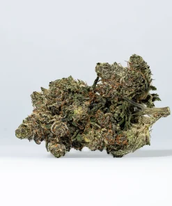 Purple Aurora (AAA+)
