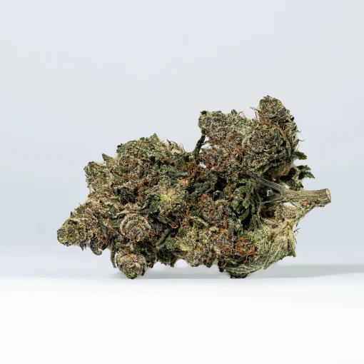 Purple Aurora (AAA+)