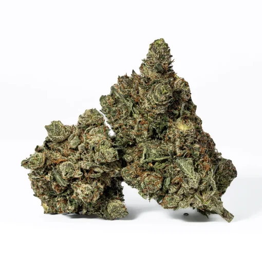 Purple Aurora (AAA+)