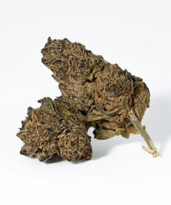 Purple Pinecone (AA+)