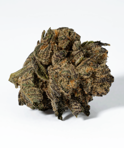 Purple Pinecone (AA+)
