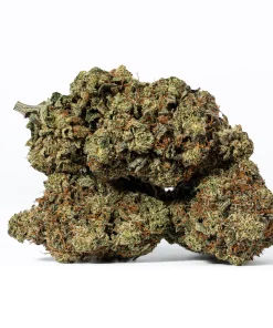 Galactic Gas (AAAA)