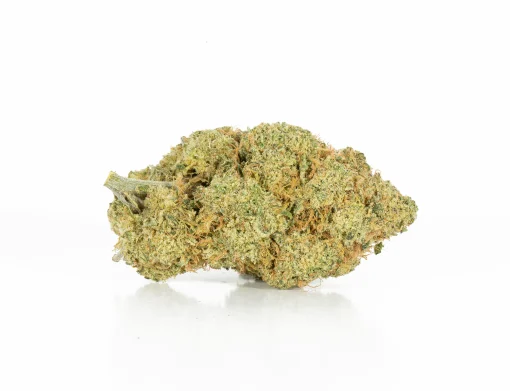 Rocket Fuel (AAA+)